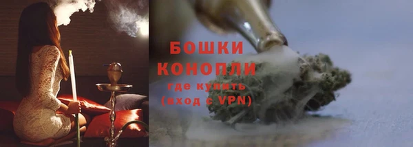 гидропоника Белокуриха