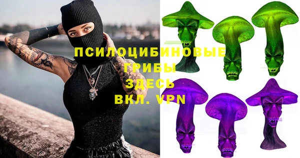 гидропоника Белокуриха