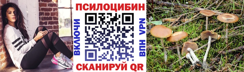 гидра зеркало  Кондрово  Псилоцибиновые грибы Psilocybe 